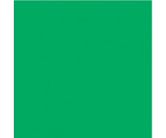Kartong värviline Folia A4, 300g/m² - 50 lehte - smaragd roheline
